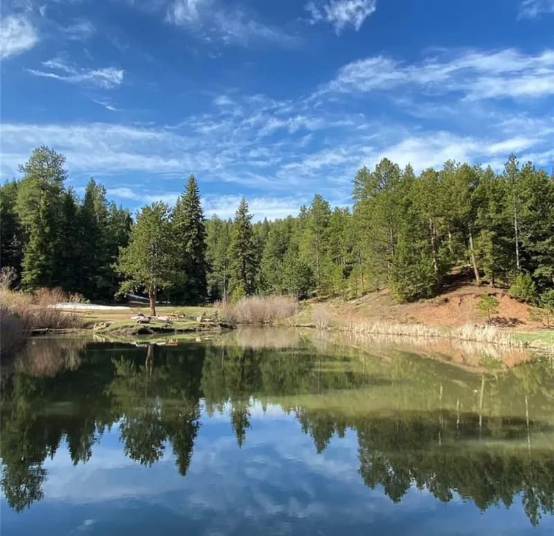 Tranquil pond reflecting Front Range trees and sky